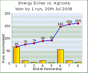 charts of Exiles wicket partnerships for this match