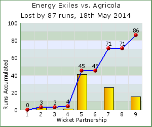 charts of Exiles wicket partnerships for this match